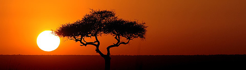 Kenya Sunset