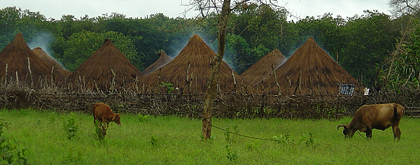 Guinea Bissau Village