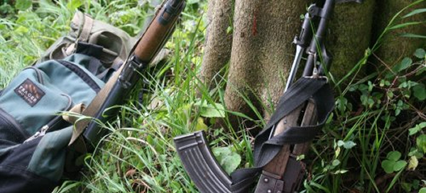 Guns In The Forest