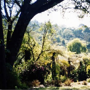 vumba